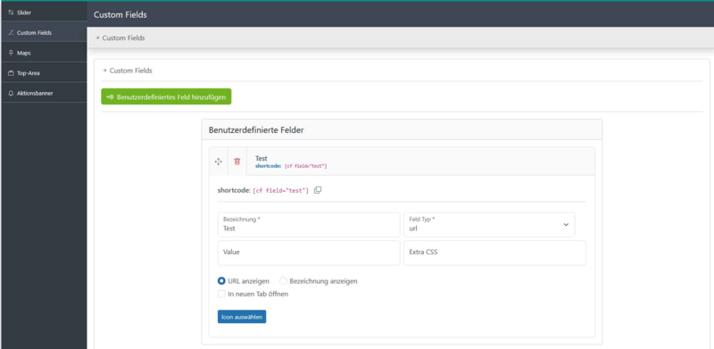  Custom Fields mit Typ & Anzeigeoptionen